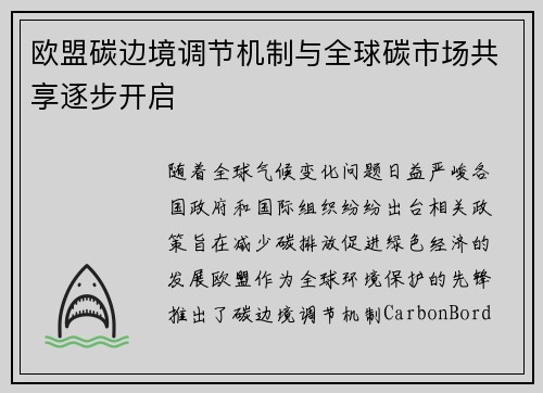 欧盟碳边境调节机制与全球碳市场共享逐步开启