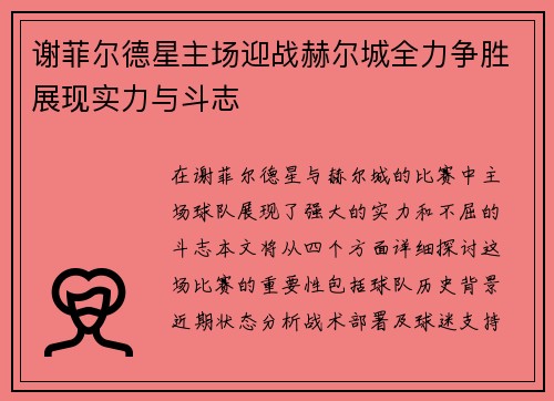 谢菲尔德星主场迎战赫尔城全力争胜展现实力与斗志