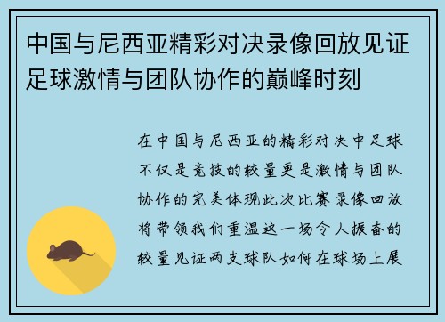 中国与尼西亚精彩对决录像回放见证足球激情与团队协作的巅峰时刻