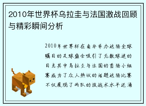 2010年世界杯乌拉圭与法国激战回顾与精彩瞬间分析