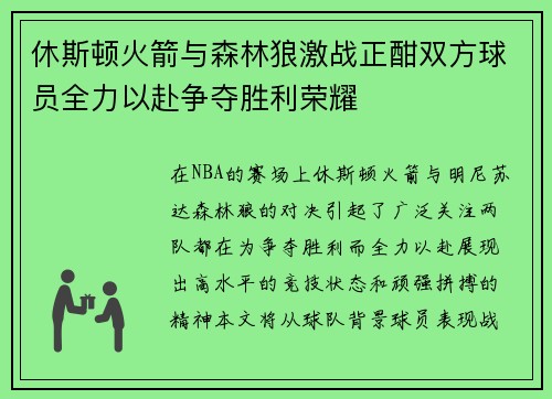休斯顿火箭与森林狼激战正酣双方球员全力以赴争夺胜利荣耀