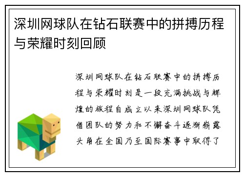 深圳网球队在钻石联赛中的拼搏历程与荣耀时刻回顾