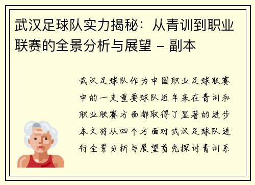 武汉足球队实力揭秘：从青训到职业联赛的全景分析与展望 - 副本